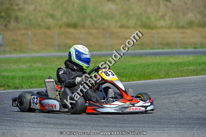 DSC_ (1388).jpg
